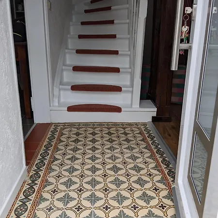 Fischer House In Am Rhein, Unesco Cultural Heritage * Kestert
